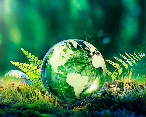 sustainability cta img